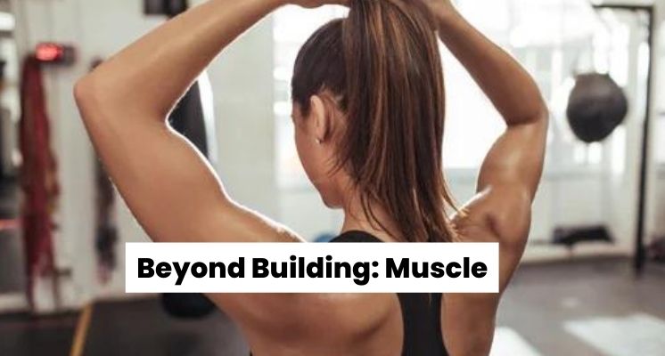Understanding Muscle Definition 