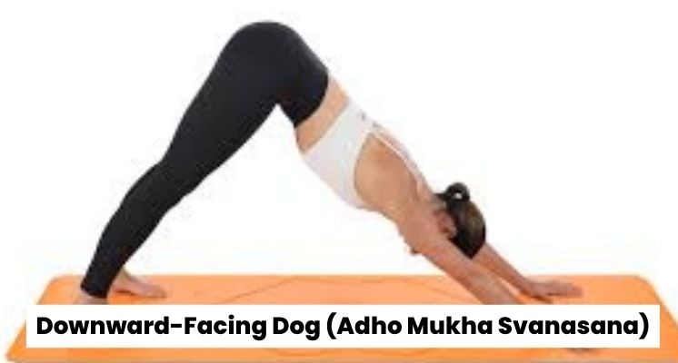 Downward-Facing Dog (Adho Mukha Svanasana)